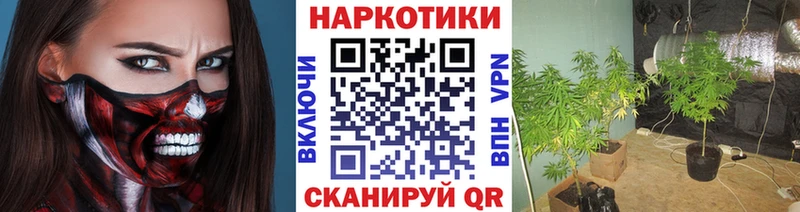 Хочу наркоту Аргун Гашиш  Бутират  АМФЕТАМИН  МЕФ  COCAIN  МАРИХУАНА 