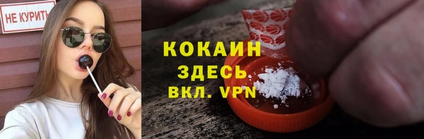 стаф Алзамай