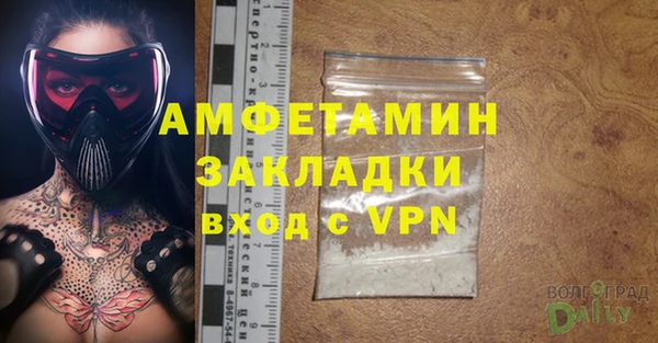 стаф Алзамай