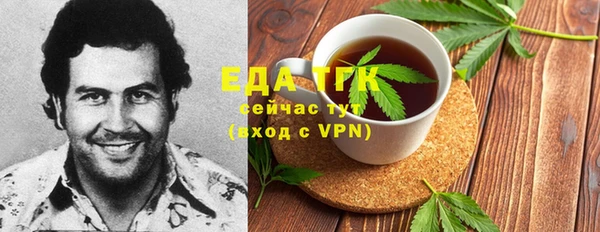 стаф Алзамай