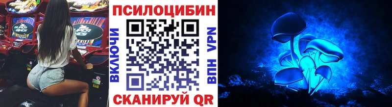 Псилоцибиновые грибы Magic Shrooms  Аргун 
