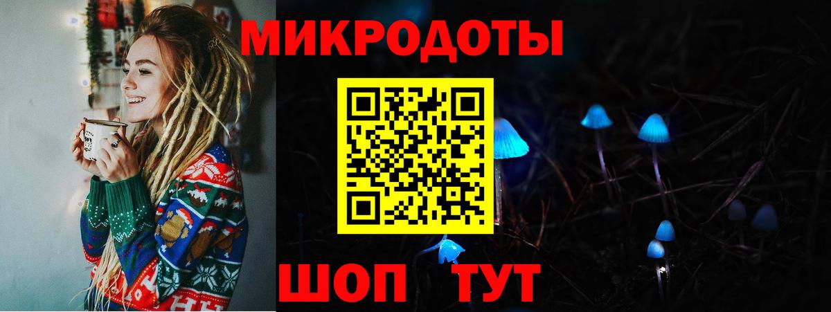 Псилоцибиновые грибы мицелий Аргун